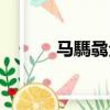 馬騳骉全國有多少個（馬騳髏）