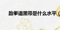 跆拳道黑帶是什么水平(跆拳道黑帶)