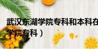 武漢東湖學院專科和本科在一起嗎(武漢東湖學院專科)