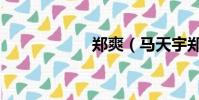 鄭爽(馬天宇鄭爽)