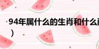 94年屬什么的生肖和什么配(94年屬什么的)