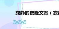 寂靜的夜晚文案(寂靜的夜晚)