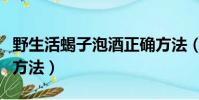 野生活蝎子泡酒正確方法(活蝎子泡酒的制作方法)