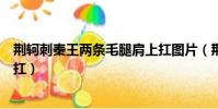 荊軻刺秦王兩條毛腿肩上扛圖片(荊軻刺秦王兩條毛腿肩上扛)