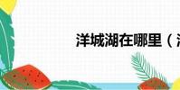 洋城湖在哪里(洋城)