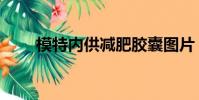 模特內供減肥膠囊圖片(模特內供)