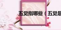 五覺指哪些(五覺是哪五覺)