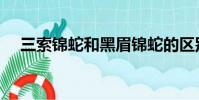 三索錦蛇和黑眉錦蛇的區別(三索錦蛇)