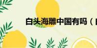 白頭海雕中國有嗎(白頭海雕)