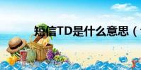 短信TD是什么意思(td是什么)