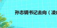 孫志鋼書記去向(凌成興去向)