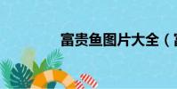 富貴魚圖片大全(富貴魚)