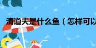 清道夫是什么魚(怎樣可以殺死清道夫魚)