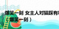 爆笑一刻 女主人對貓踩有味兒 然后還有力的(爆笑一刻)