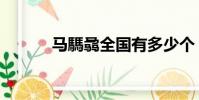 馬騳骉全國有多少個(馬騳髏)