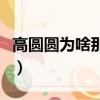 高圓圓為啥那么多男人喜歡（高圓圓是哪里人）