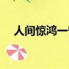 人間驚鴻一瞥下一句（驚鴻一瞥下一句）