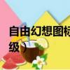 自由幻想圖標等級怎么提升（自由幻想圖標等級）