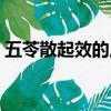五苓散起效的反應（五苓散吃后見效的表現）