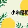 小米是粗糧細糧?（小米是粗糧嗎）