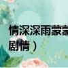 情深深雨蒙蒙劇情介紹電視貓（情深深雨蒙蒙劇情）