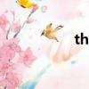 theft的名詞（theft）