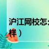 滬江網校怎么樣 有人知道嗎（滬江網校怎么樣）