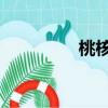 桃核吧 奶油皮（桃核吧）