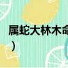 屬蛇大林木命好不好（屬蛇大林木命什么意思）