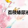 荔枝蝽尿液引起的皮膚潰爛（荔枝蝽）