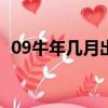 09牛年幾月出生最好（牛年幾月出生最好）