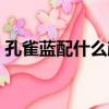 孔雀藍配什么顏色洋氣（孔雀藍配什么顏色）