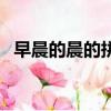 早晨的晨的拼音怎么寫（晨的拼音怎么寫）