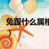 兔跟什么屬相配最好雞（兔跟什么屬相配最好）