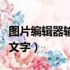 圖片編輯器輸入文字不顯示（圖片編輯器輸入文字）