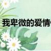 我卑微的愛情像多余的泡沫（我卑微的愛情）