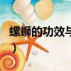 螺螄的功效與作用及禁忌（螺螄的功效與作用）