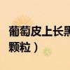 葡萄皮上長黑斑還能吃嗎（葡萄皮上黑色的小顆粒）