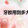 牙膠用到多大就可以了（牙膠什么時候用）