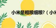小米是粗糧細糧?(小米是粗糧嗎)