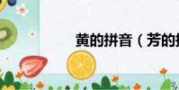 黃的拼音(芳的拼音)