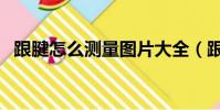 跟腱怎么測量圖片大全(跟腱怎么測量圖)