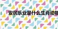 安居樂業是什么生肖動物(安居樂業)