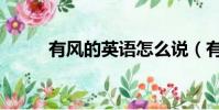 有風的英語怎么說(有風的英語)