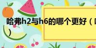 哈弗h2與h6的哪個更好(哈弗h2和h6哪個好)