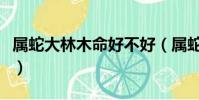 屬蛇大林木命好不好(屬蛇大林木命什么意思)