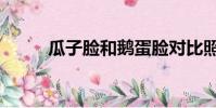 瓜子臉和鵝蛋臉對比照(瓜子臉)