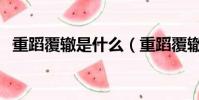 重蹈覆轍是什么(重蹈覆轍什么意思愛情)