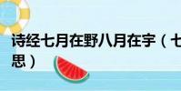 詩經七月在野八月在宇(七月在野八月在宇意思)
