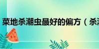 菜地殺潮蟲最好的偏方(殺潮蟲最好的偏方)